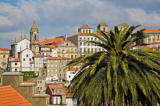 城市天际线,教堂钟,塔,波尔图,葡萄牙