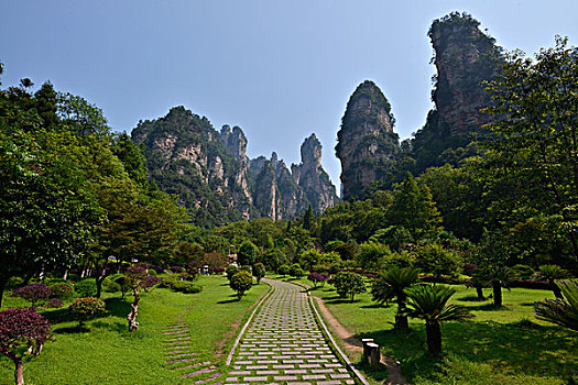 砂岩,柱子,山,张家界,武陵源,景色,历史,兴趣,区域,湖南,省,中国,亚洲