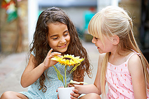 两个女孩,接触,向日葵,容器,花园