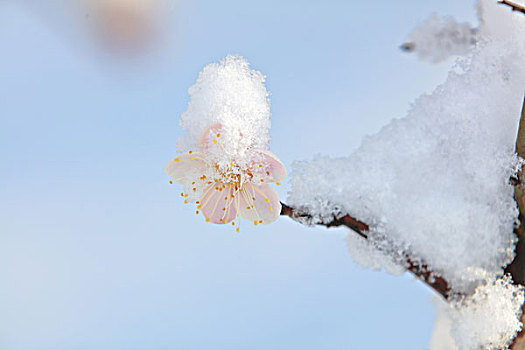 冰雪世界圖片_冰雪世界圖片大全_冰雪世界圖片素材