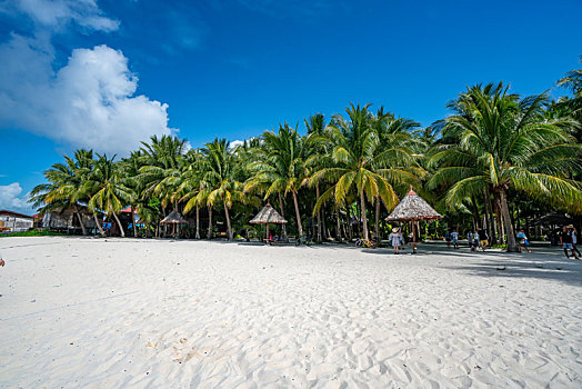热带岛屿沙滩和椰子树林