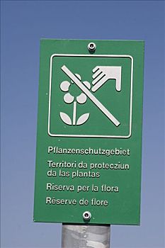 标识,植物保护,区域,伯恩高地,阿尔卑斯山,瑞士