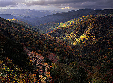 秋色,大烟山国家公园,北卡罗来纳,田纳西,美国,大幅,尺寸