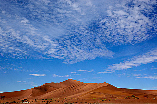 沙丘,荒漠景观,纳米比沙漠,区域,纳米比亚,非洲