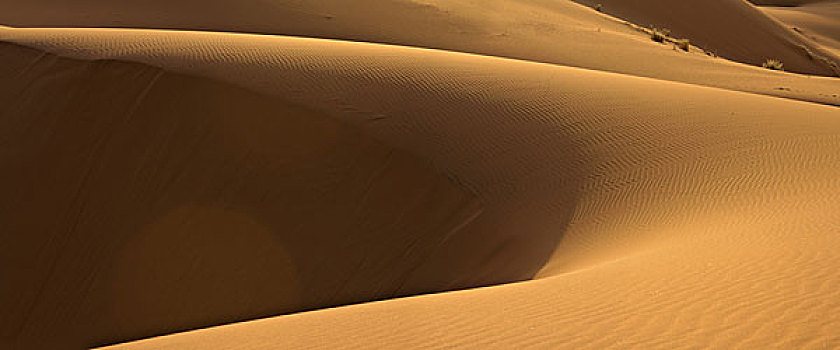 非洲,摩洛哥,梅如卡,却比沙丘,撒哈拉沙漠,沙丘,早晨,太阳