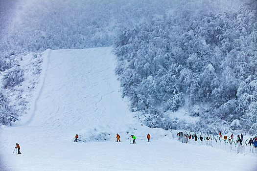 西岭雪山大雪的美丽风景