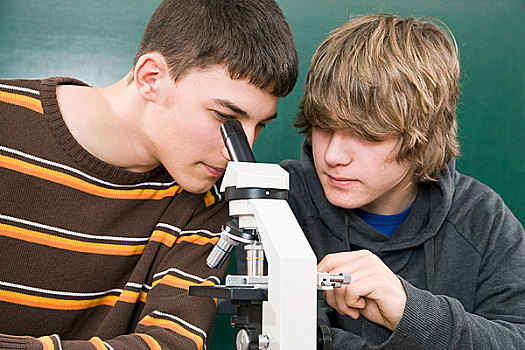 两个,学生,协作,显微镜