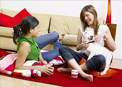 两个女孩,微笑,红地毯,垫子,牛头犬,膝
