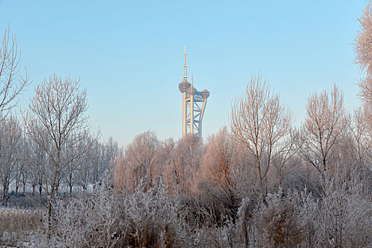 冬季油城大庆市雪景如画