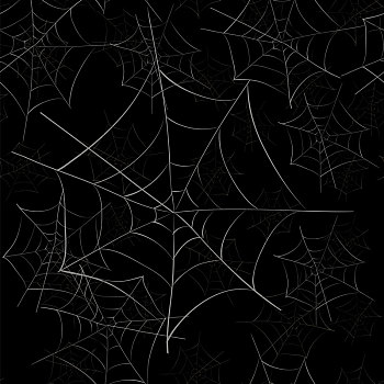 蜘蛛网,无缝,图案