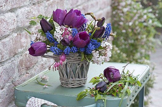 小,花束,藤条,花瓶,郁金香属,紫色,王子,荚莲属植物