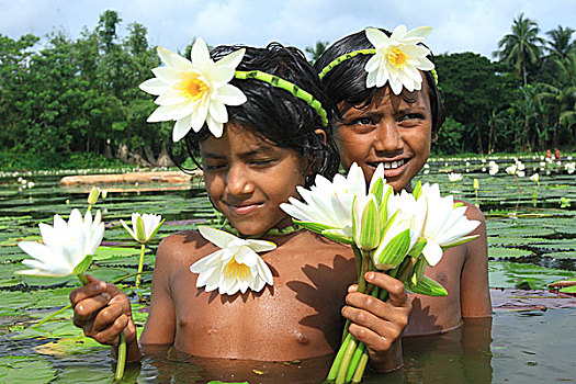 孩子,穿,装饰,荷花,国家,花,孟加拉,九月,2007年
