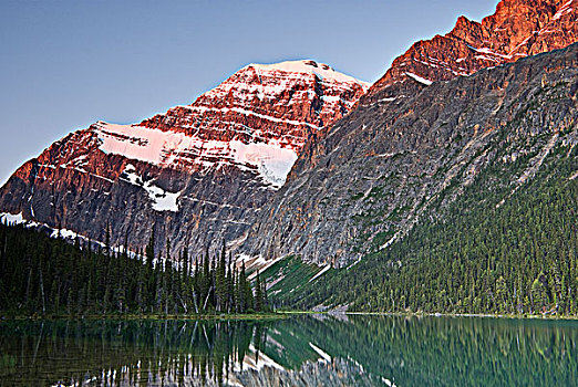 山,反射,伊迪斯卡维尔山,艾伯塔省,加拿大