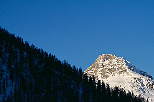 山景