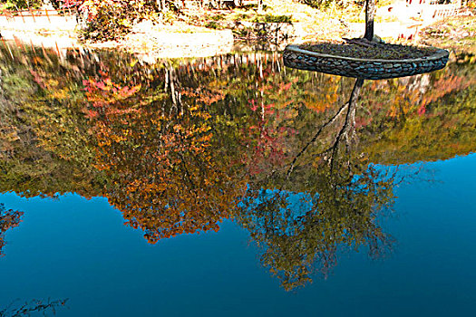 本溪,大石湖,景区,旅游,山坡,峡谷,山谷,植被,自然,风光,秋季,红叶,色彩,艳丽,湖水