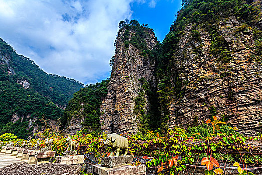 中国广东封开千层峰