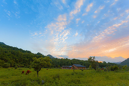 陕西周至老县城草场风光