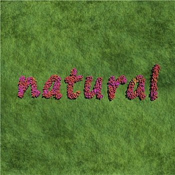 自然,创作,红色,花,草