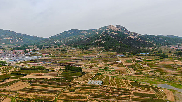 油封