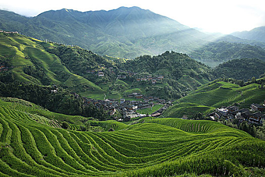 龙脊梯田