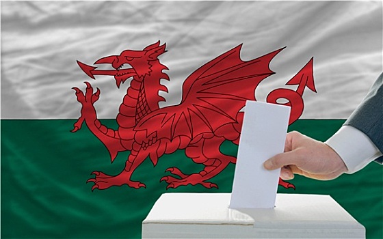 男人,投票,选举,威尔士,正面,旗帜