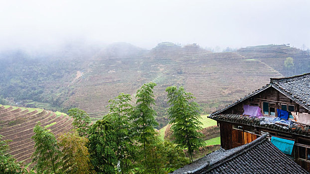 房子,乡村,阶梯状,山