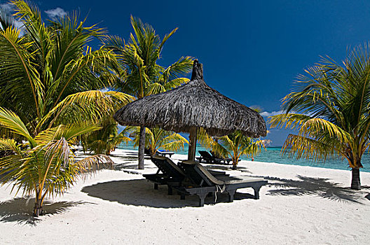 毛里求斯,酒店,太阳,遮阳伞,沙滩