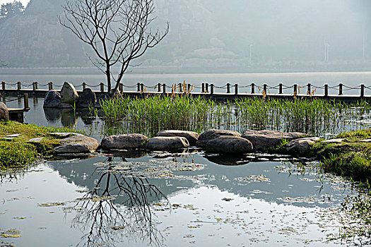 屯溪江边湿地小景