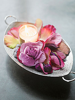 茶烛,花瓣,紫色,玫瑰,银盘