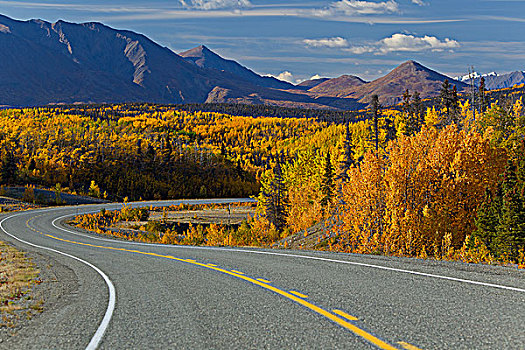 景色,阿拉斯加公路,海恩斯,阿拉斯加,连通,育空地区,加拿大,秋天