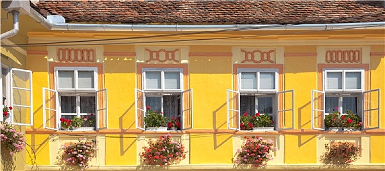 黄色,墙,窗户