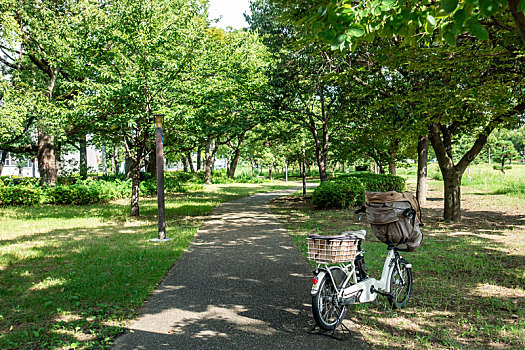 一辆自行车停靠在日本大阪城公园的小道上