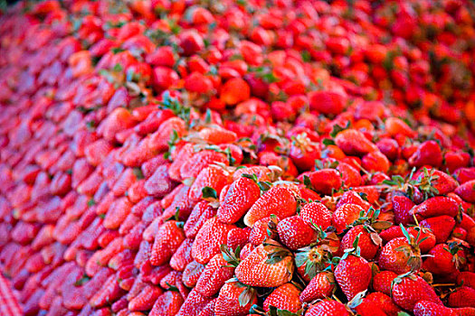 北美,墨西哥,瓜纳华托州,圣米格尔,草莓,展示,星期二,市场
