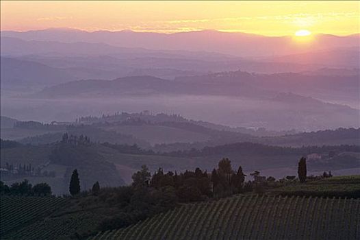 黎明,薄雾,乡村,风景,圣吉米尼亚诺,托斯卡纳,意大利