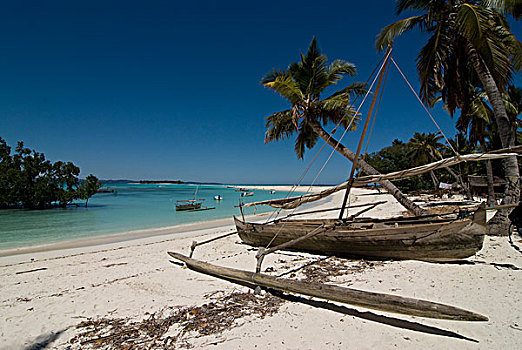 马达加斯加,好奇,棕榈树,沙滩,小岛