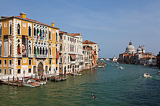 宫殿,大运河,威尼斯,意大利,欧洲