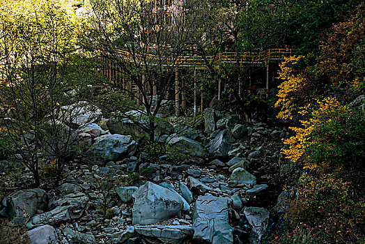 山高水长,秋水