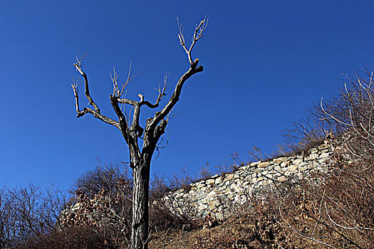 长城,建筑,古建筑,文化,遗产,历史,防御,围墙,明朝,军事,设施,边关,风景,榆木岭,迁西,唐山,河北省