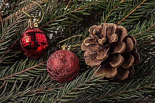 褐色,冷杉松果,红色,圣诞装饰,枝条