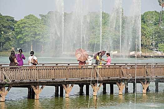 亚洲,缅甸,仰光,湖,公园