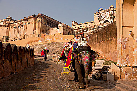 骑,大象,旅游,正面,琥珀堡,斋浦尔,拉贾斯坦邦,印度,亚洲
