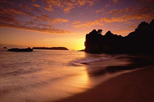 海滩,日出,科罗曼德尔,半岛,新西兰,北岛