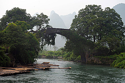 遇龙河富里桥风景