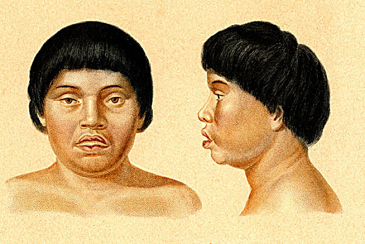 男人,南,美洲,土著,东方,巴西,历史,插画,1875年