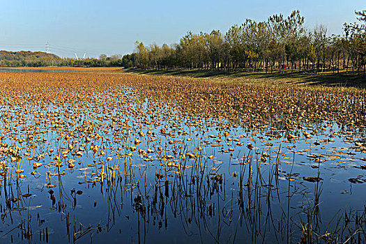 东陵湖