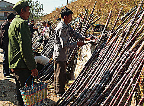 甘蔗,小贩,市场,桂林,中国