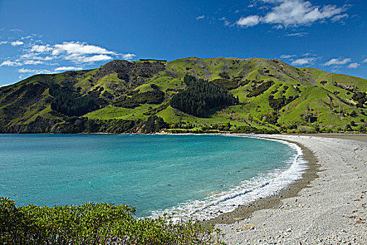 线缆,湾,岛屿,靠近,纳尔逊,南岛,新西兰