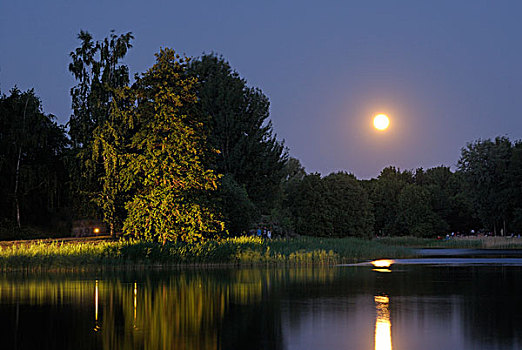 仲夏夜,满,月亮,德国联邦园林展,公园,园艺,展示,花园,地区,柏林,德国,欧洲