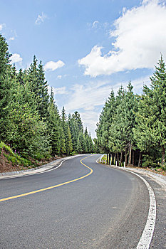 森林道路
