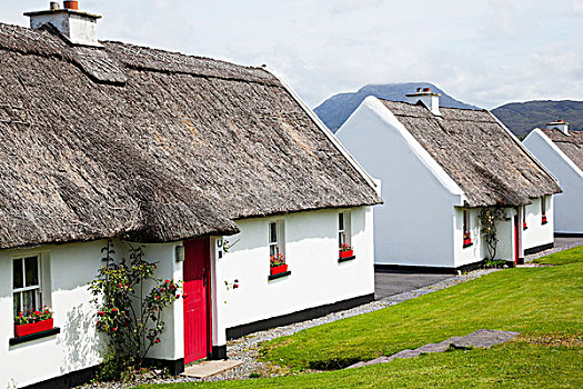 白色,屋舍,红色,门,红花,盒子,窗户,戈尔韦郡,爱尔兰